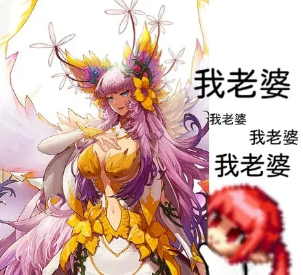 DNF花之女王攻略与背景揭秘