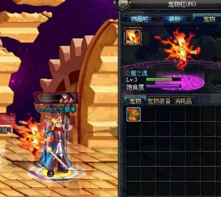 DNF宠物选择攻略：冰翼之魂与炎魔之魂对比解析