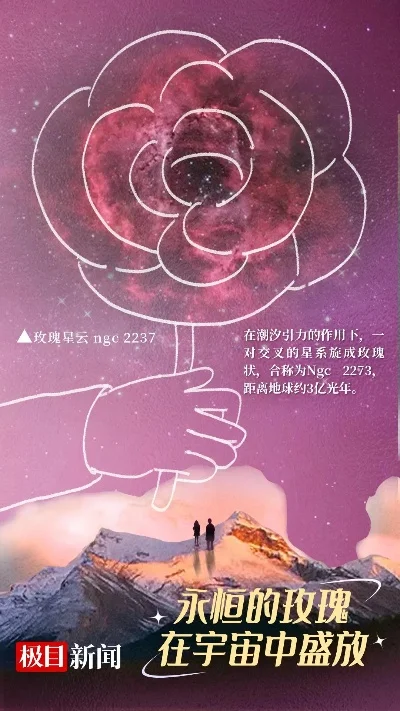 2025年灿烂的宇宙灵魂可以换什么　2025年灿烂的宇宙灵魂可以换什么东西