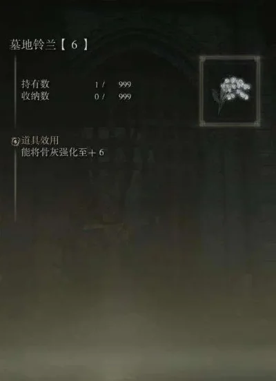 艾尔登法环法师骨灰升级攻略