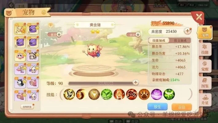 永恒岛宠物升阶与晋升攻略详解