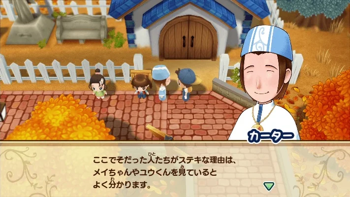 牧场物语矿石镇攻略全解析