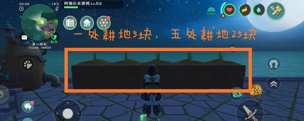 《创造与魔法》黄豆获取攻略：春日海岸坐标点及路线推荐